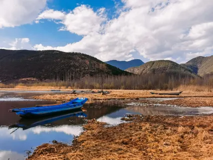 FutoCasi Kasino Mobilní aplikace